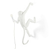 Изображение товара Светильник правосторонний Monkey Lamp Hanging, белый