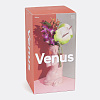 Изображение товара Ваза для цветов Venus, 31 см, розовая