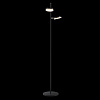 Изображение товара Торшер Modern, Fad, 2 лампы, 28,3х25х145 см, матовый черный