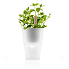 Изображение товара Горшок для растений с функцией самополива. Ø11 см, матовое стекло