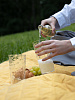 Изображение товара Плед для пикника и отдыха на пляже Smart Picnic, горчичный