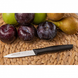 Изображение товара Нож для чистки овощей и фруктов Colour-prof, 8 см, серая рукоятка