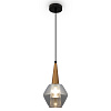 Изображение товара Светильник подвесной Modern Market, 1 лампа, Ø15х106 см, черный/золото