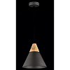 Изображение товара Светильник подвесной Pendant, Bicones, Ø22х13,7 см, черный