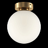 Изображение товара Светильник настенный Modern, Basic form, 1 лампа, 18х21х18 см, золото