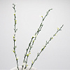 Изображение товара Искусственная длинная ветка дрок с белыми цветами 80 см