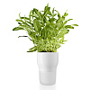 Изображение товара Горшок для растений с функцией самополива, Ø11 см, белый