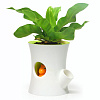 Изображение товара Горшок для цветов с системой автополива Log&Squirrel, белый/зеленый