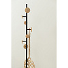 Изображение товара Вешалка напольная Paletta, 170 см, черная/бежевая