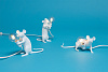 Изображение товара Светильник настольный Mouse Lamp Standing, белый