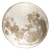 Изображение товара Ковер Moon, Ø280 см, латте