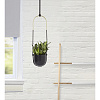 Изображение товара Горшок для растений подвесной Bolo, Ø16 см, черный