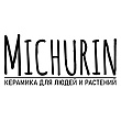 Изображение Michurin