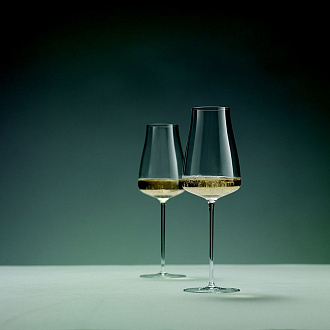 Изображение товара Набор бокалов для красного вина Rioja, The Moment, 545 мл, 2 шт.