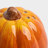 Изображение товара Емкость для соли или перца Тыква, Anna Lafarg, Bright pumpkin, 7 см, оранжевая
