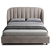 Изображение товара Кровать Tulip 216, 180х232х120 см, темная береза