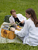 Изображение товара Термосумка для пикника Smart Picnic, L, горчичная