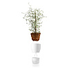 Изображение товара Горшок для растений с функцией самополива, Ø13 см, белый