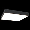 Изображение товара Светильник потолочный Ceiling & Wall, Zon, 40х40х5,8 см, черный