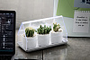 Изображение товара Лоток для выращивания растений Micro Green House прозрачный