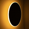 Изображение товара Светильник настенный LED, Touchstone, Ø30х3,5 см, черный