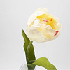 Изображение товара Пионовидный Тюльпан белый искусственный 36 см