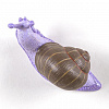 Изображение товара Крючки интерьерные Snail Slow, мультиколор