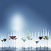 Изображение товара Набор фужеров для белого вина Diva, 300 мл, 2 шт.