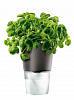 Изображение товара Горшок для растений с функцией самополива, Ø11 см, серый